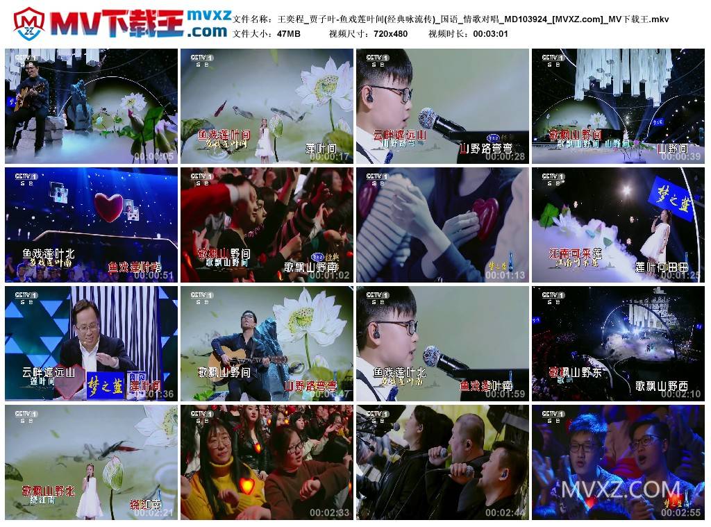 王奕程_贾子叶-鱼戏莲叶间(经典咏流传)_国语_情歌对唱_MD103924